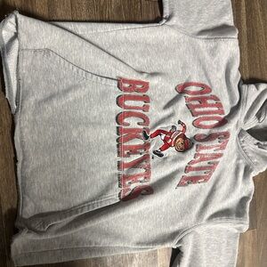 Ohio State Buckeyes Light Gray Hoodie